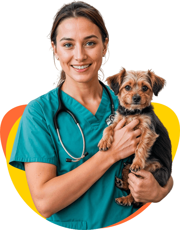 Vetraj vet caring for a happy dog