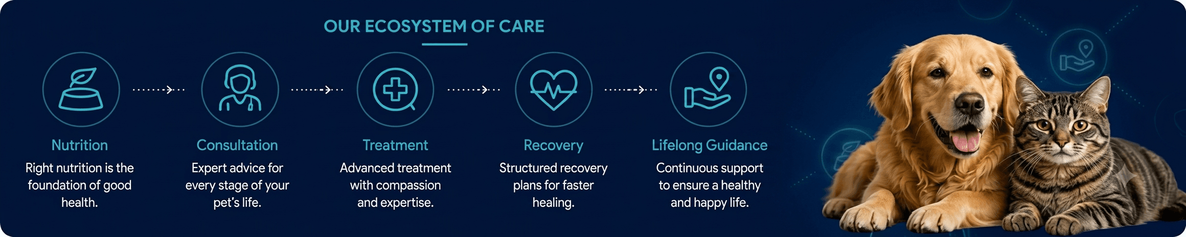 Our Ecosystem of Care — Nutrition, Consultation, Treatment, Recovery, Lifelong Guidance